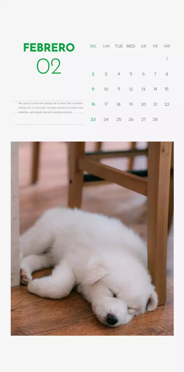 Un calendario con una foto de un cachorro y un bonito mensaje en color verde