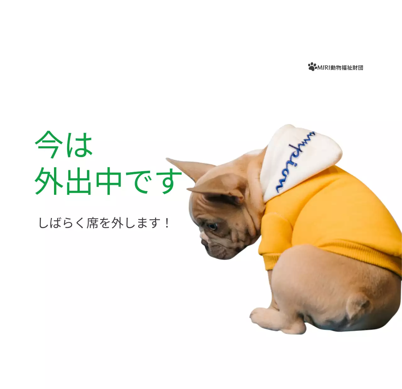 緑色のポイントカラーに子犬の写真とかわいいメッセージの入ったカレンダー