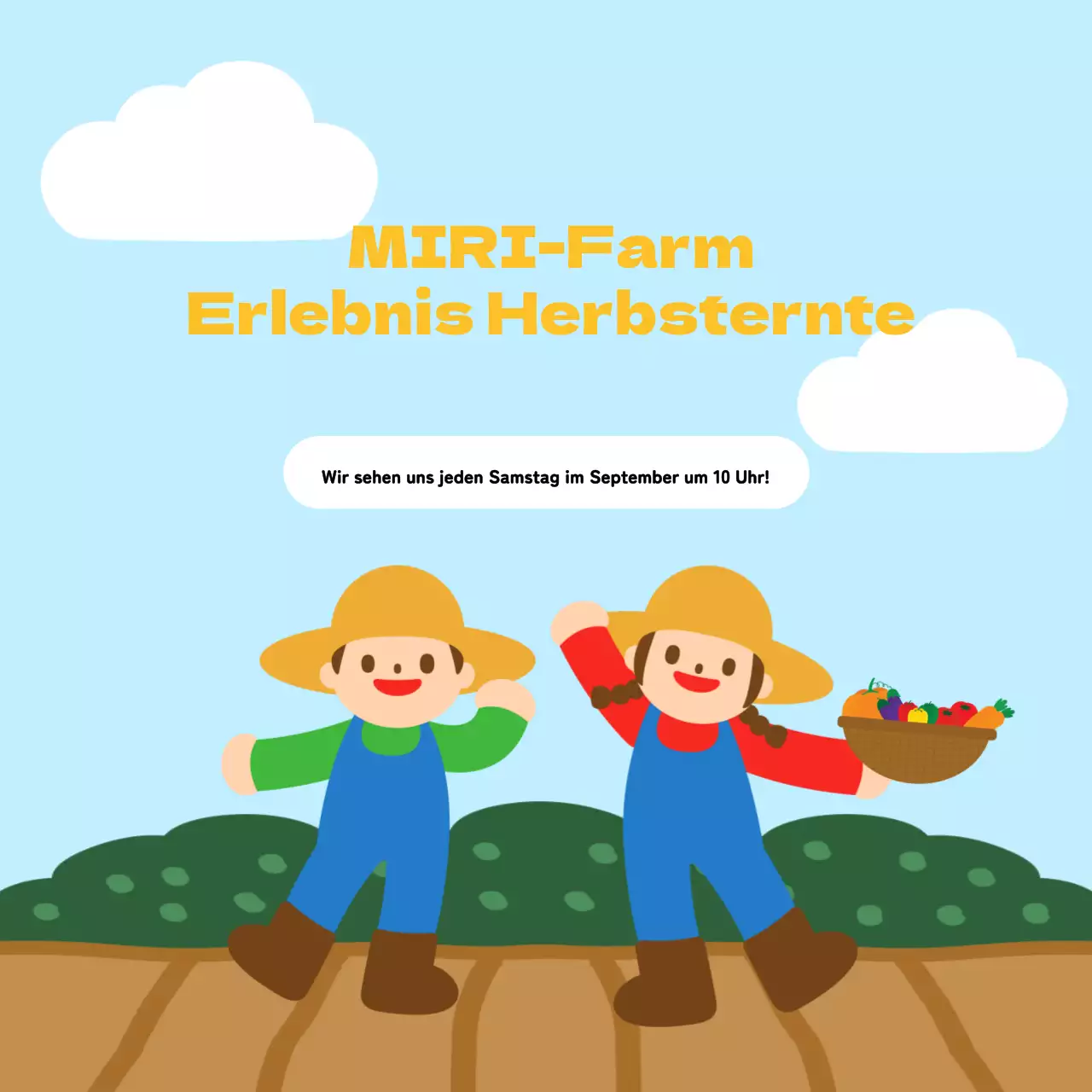 Informationen zur Ernte der schönen blauen und gelben Herbstfarben