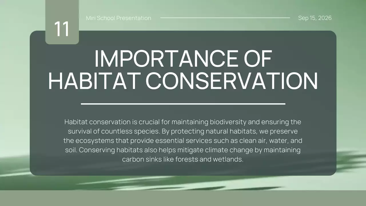 Green Simple Animal Presentation