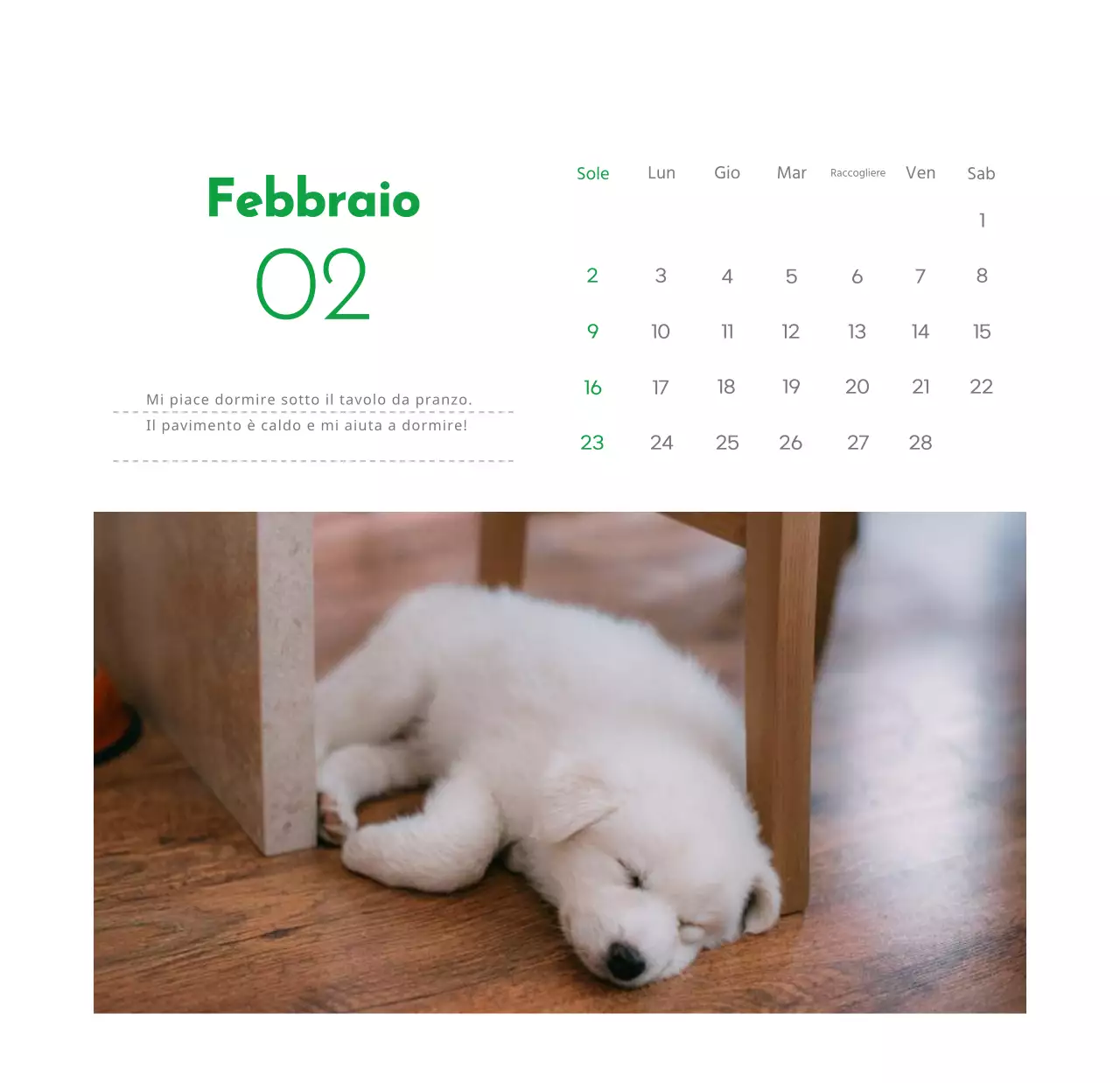 Un calendario con la foto di un cucciolo e un simpatico messaggio in colore verde.