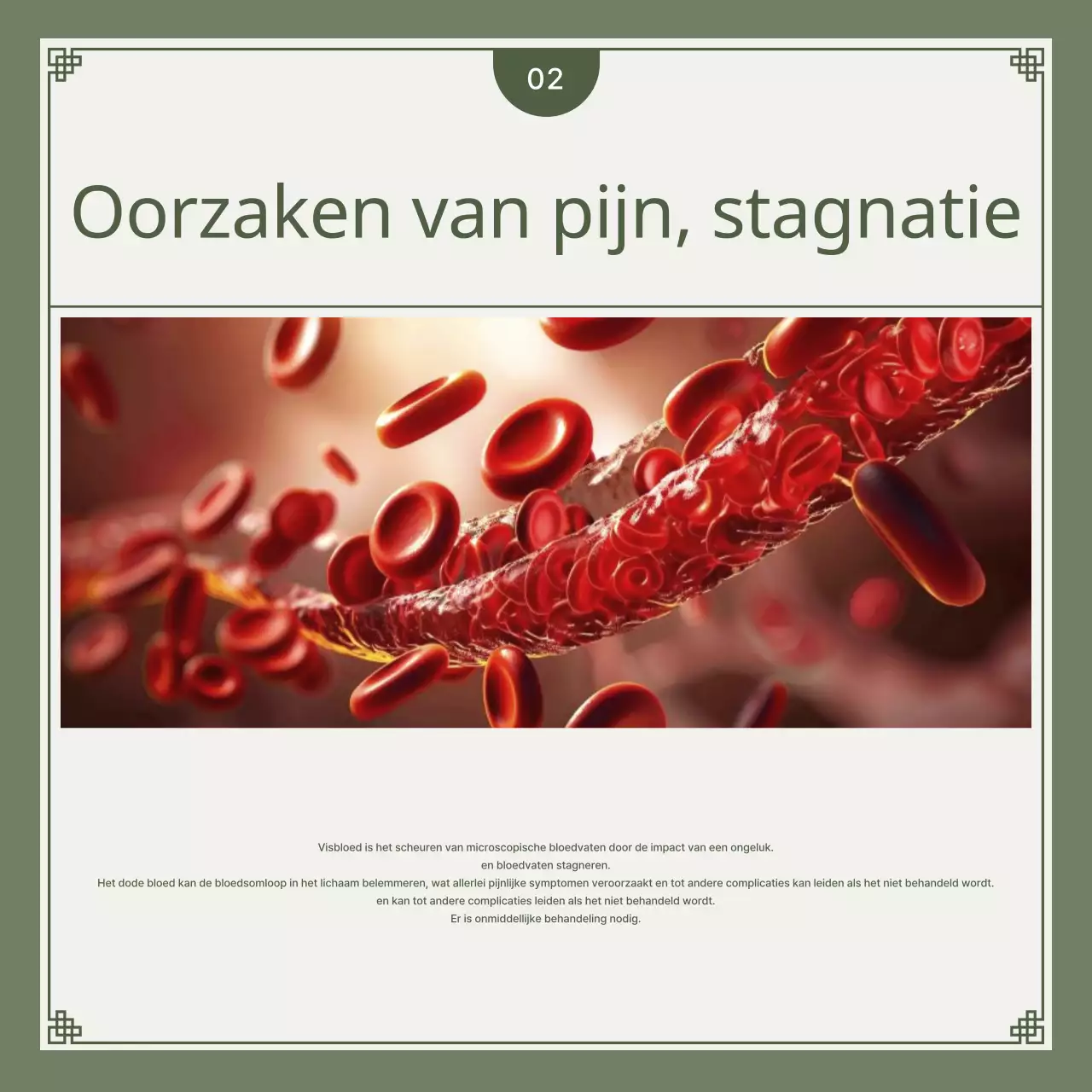 Kaki en limoengroene minimalistische kruidengids voor auto-ongelukken