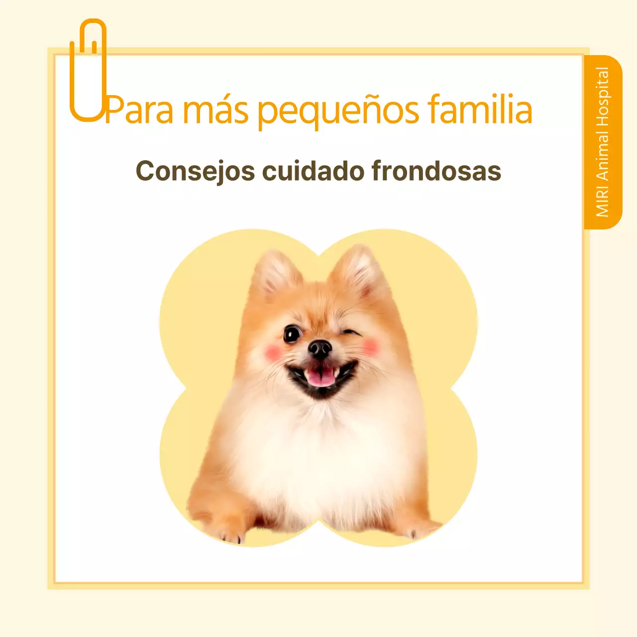 Información sanitaria para mascotas en blanco y amarillo
