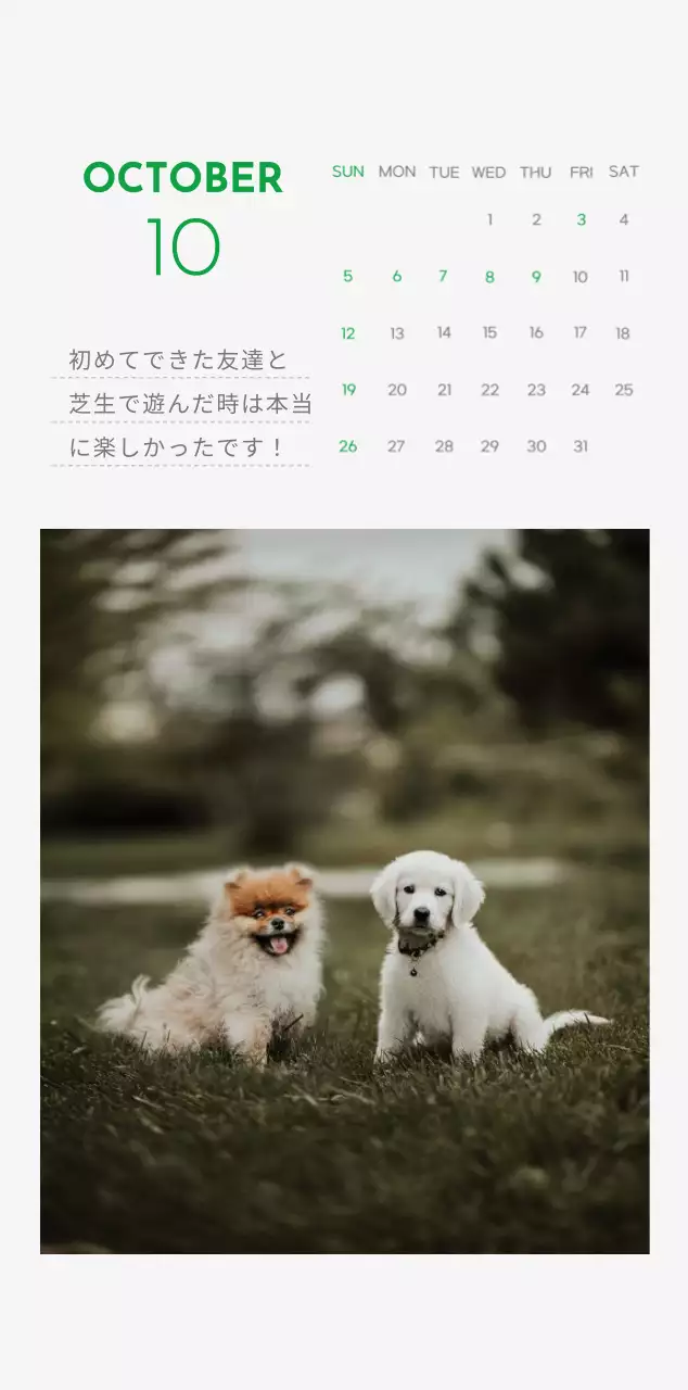 緑色のポイントカラーに子犬の写真とかわいいメッセージの入ったカレンダー