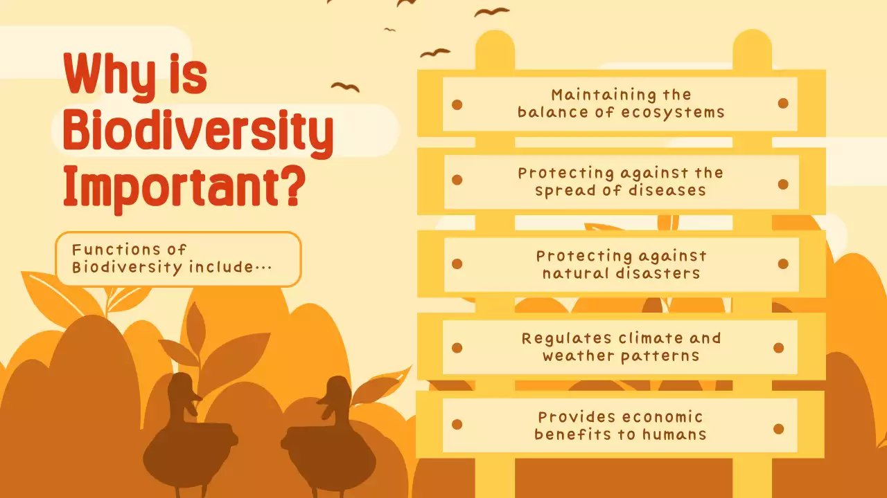 Orange Traditional Ecosystem Guide Presentation