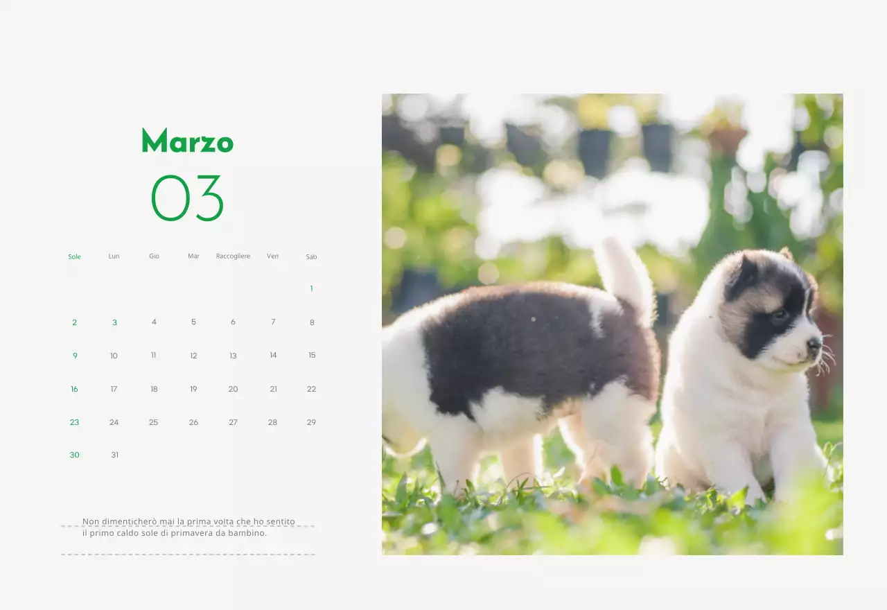 Un calendario con la foto di un cucciolo e un simpatico messaggio in colore verde.
