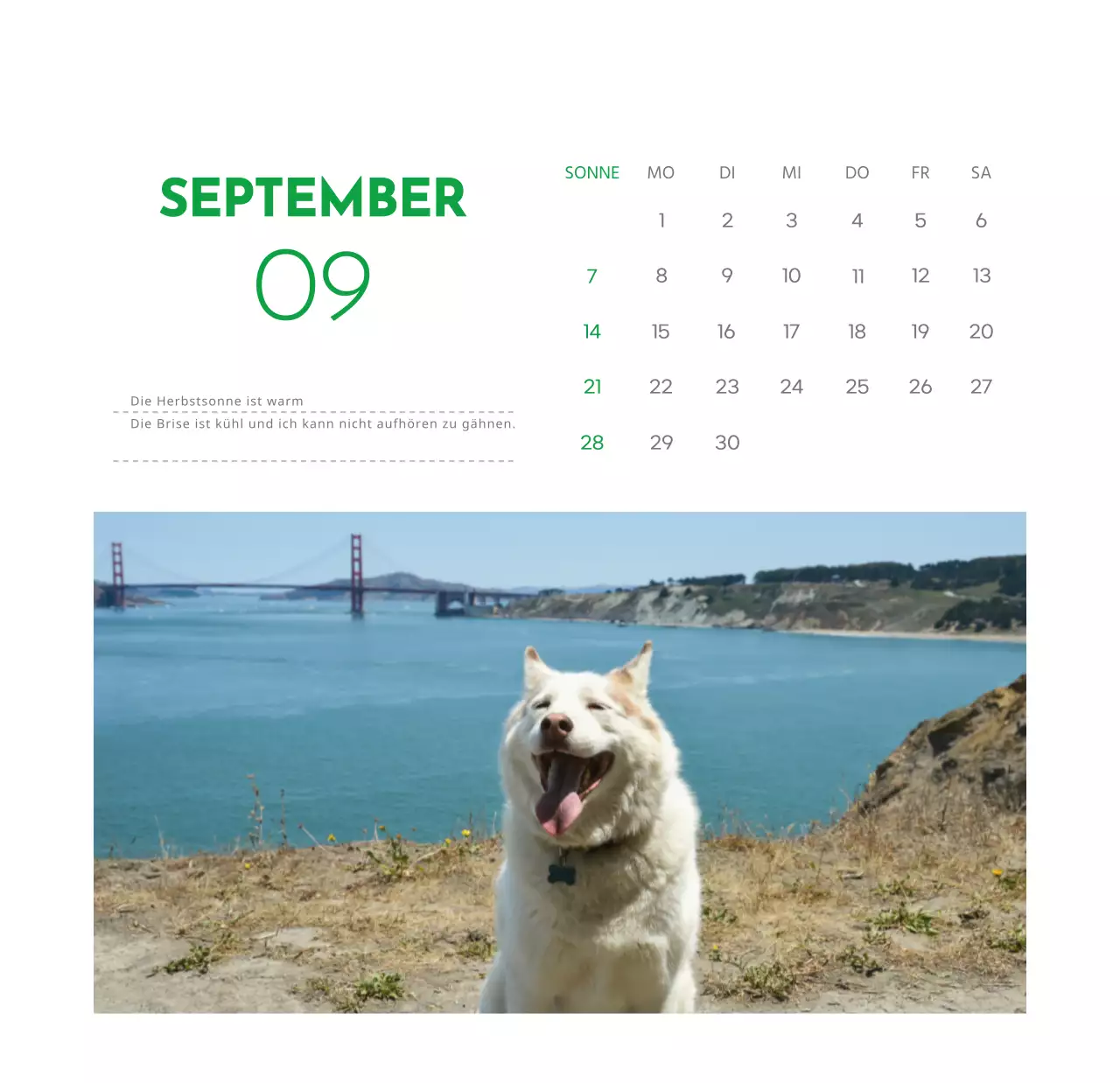 Ein Kalender mit einem Welpenfoto und einer süßen Botschaft in grüner Akzentfarbe