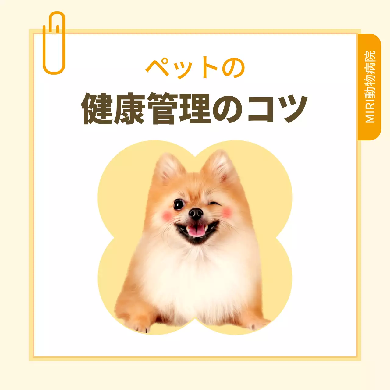 ベージュ シンプル ペット パンフレット Instagram カルーセル