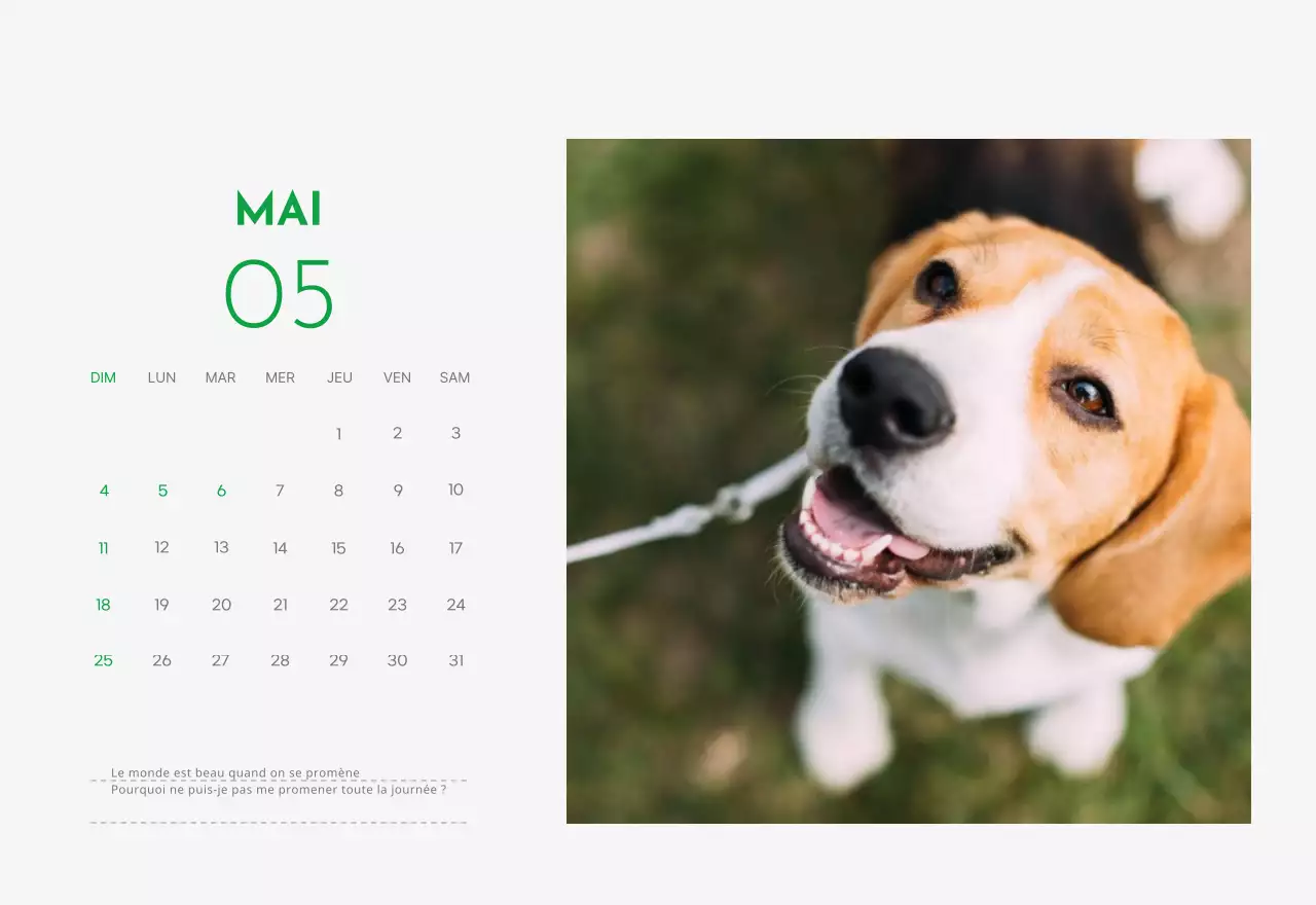 Un calendrier avec une photo de chiot et un message mignon dans une couleur verte.