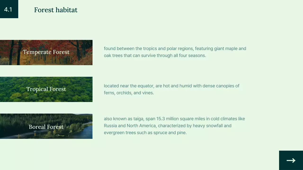 Green Educational Animal Lecture Presentation