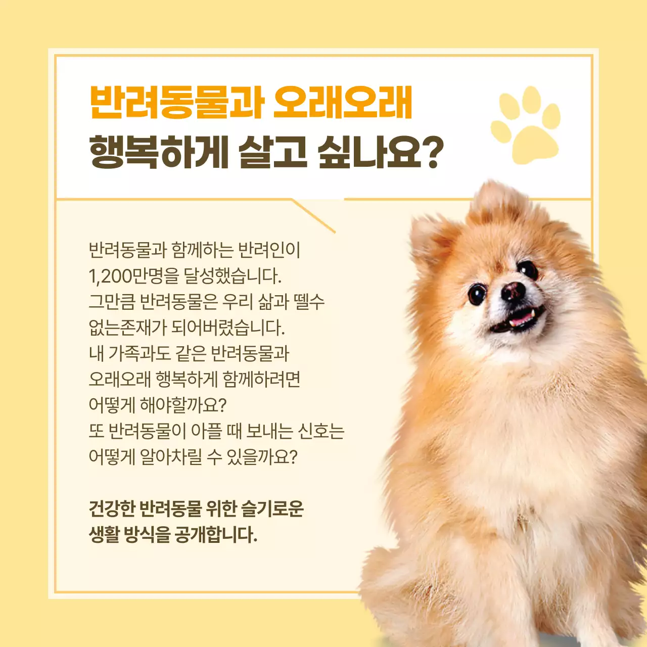 노랑과 흰색의 노트 스타일 반려동물 건강관리 정보