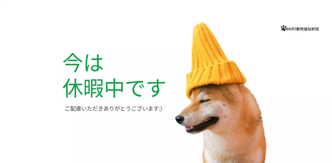 緑色のポイントカラーに子犬の写真とかわいいメッセージの入ったカレンダー