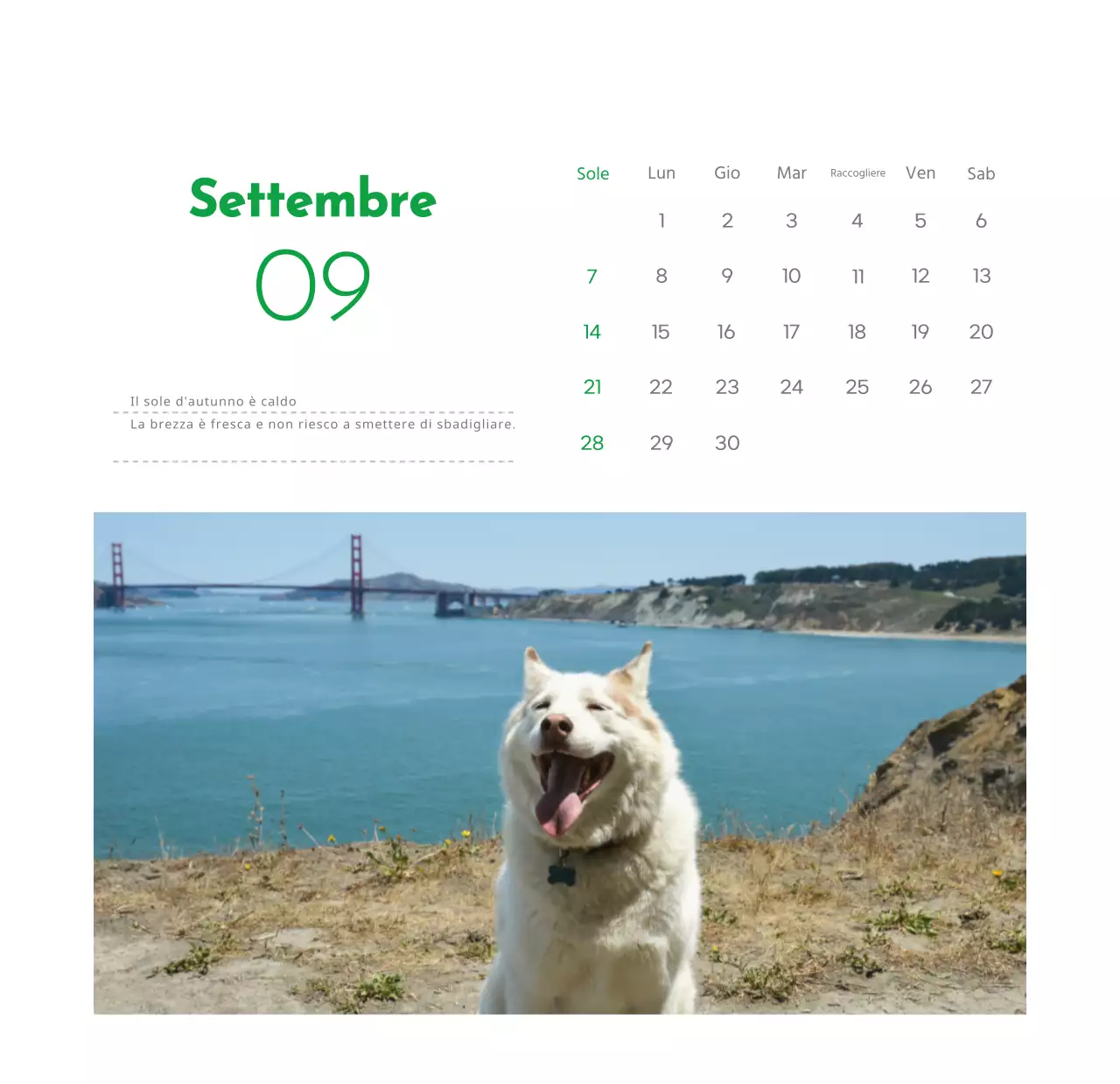 Un calendario con la foto di un cucciolo e un simpatico messaggio in colore verde.