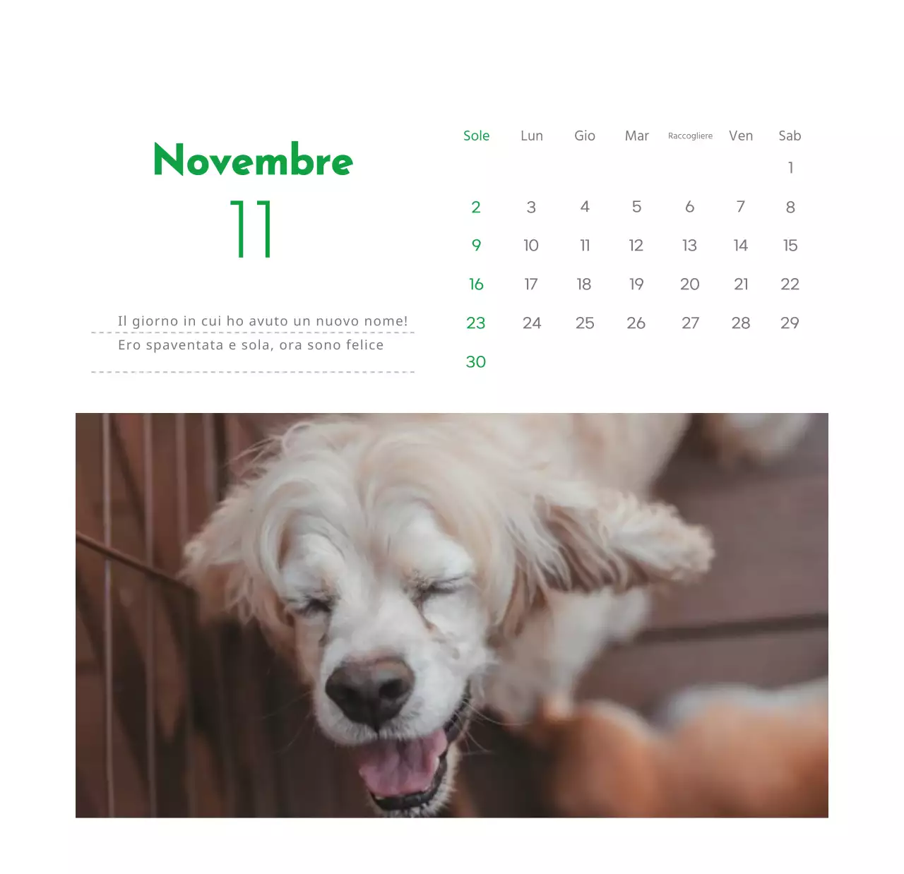 Un calendario con la foto di un cucciolo e un simpatico messaggio in colore verde.