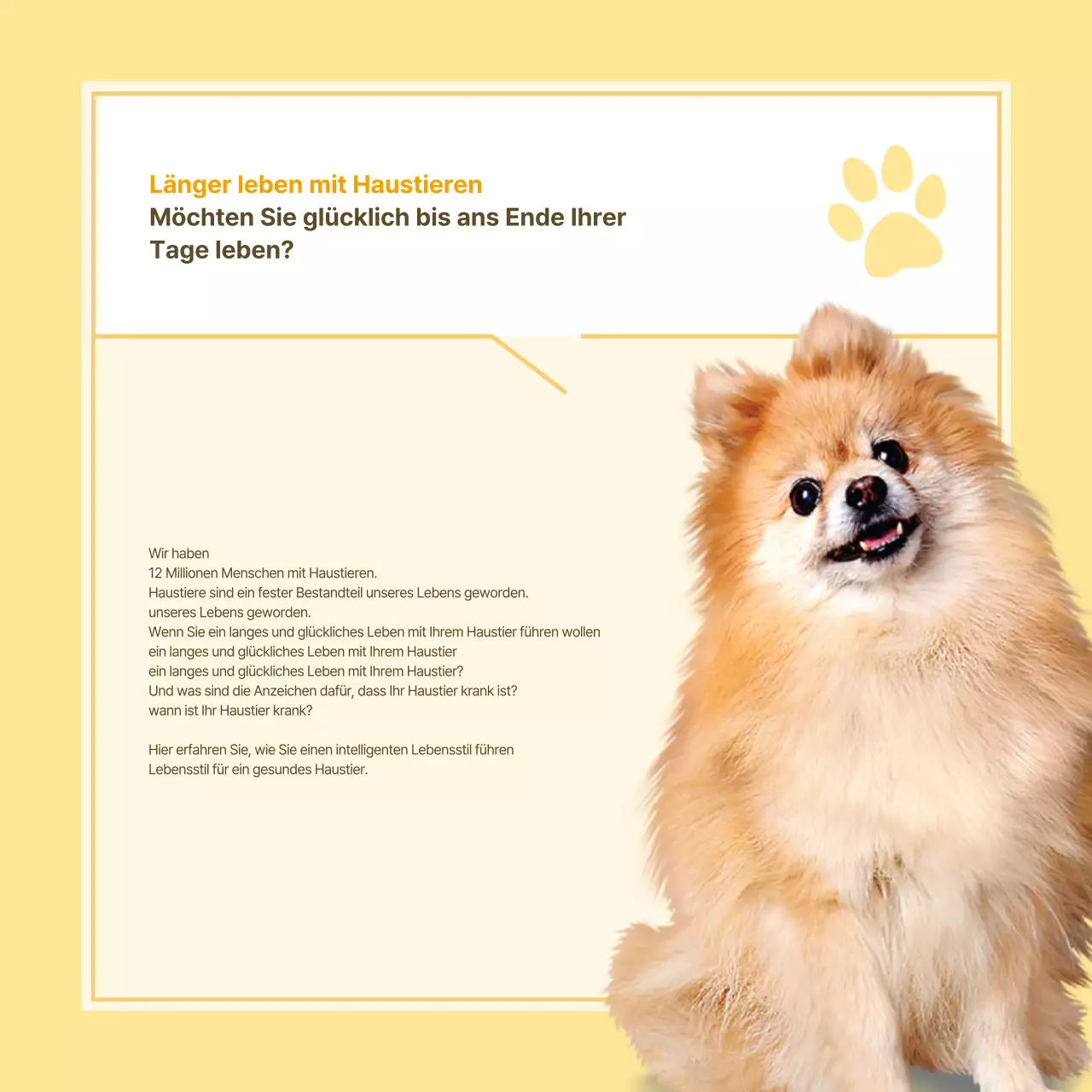 Informationen zur Gesundheitsfürsorge für Haustiere in Form von gelben und weißen Notizen