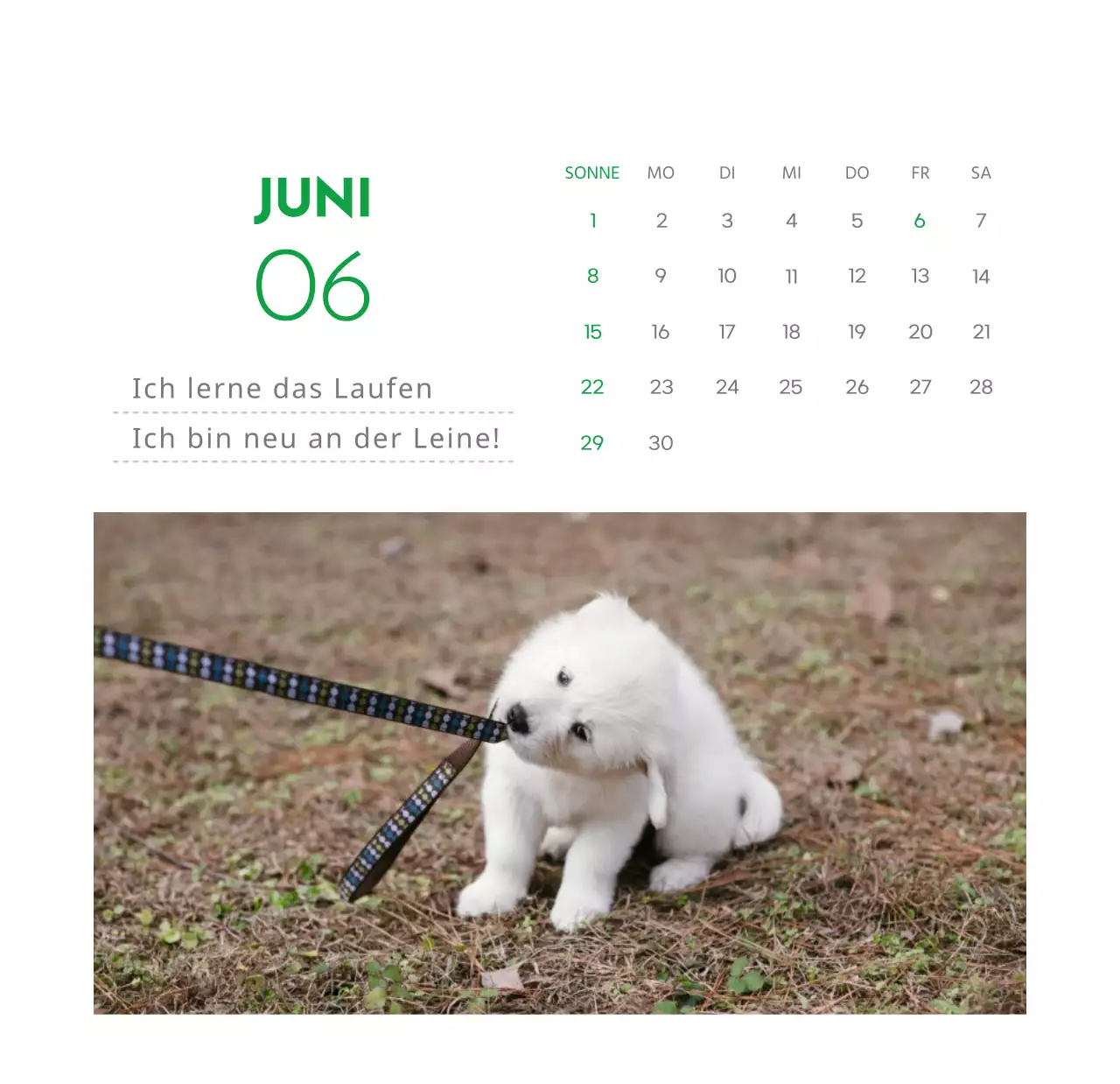 Ein Kalender mit einem Welpenfoto und einer süßen Botschaft in grüner Akzentfarbe