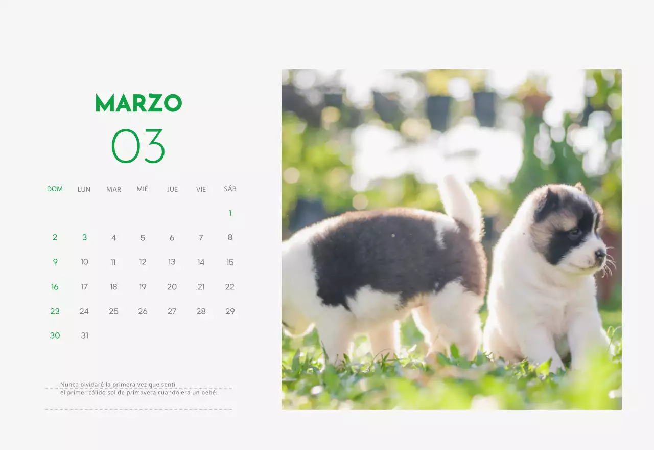 Un calendario con una foto de un cachorro y un bonito mensaje en color verde