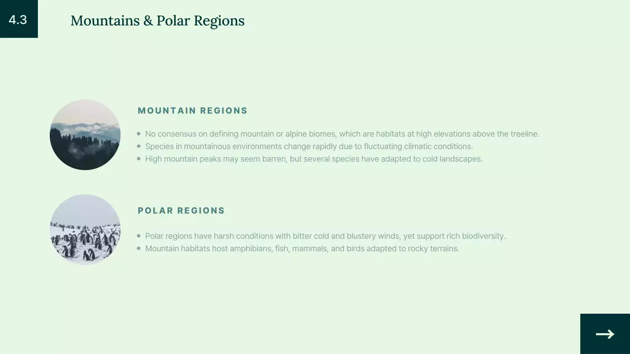 Green Educational Animal Lecture Presentation