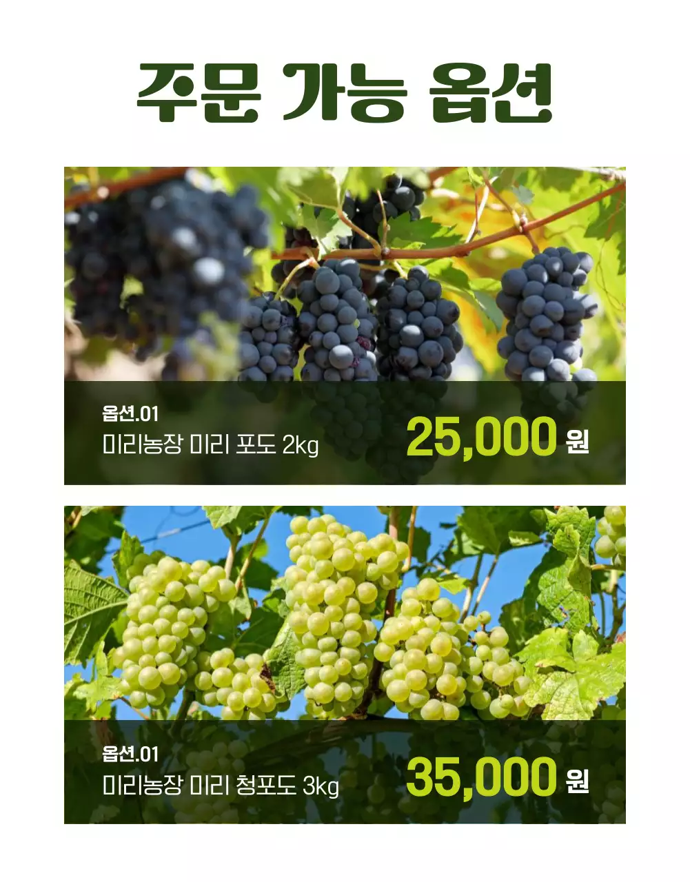 연두의 심플한 제철과일 포도 홍보