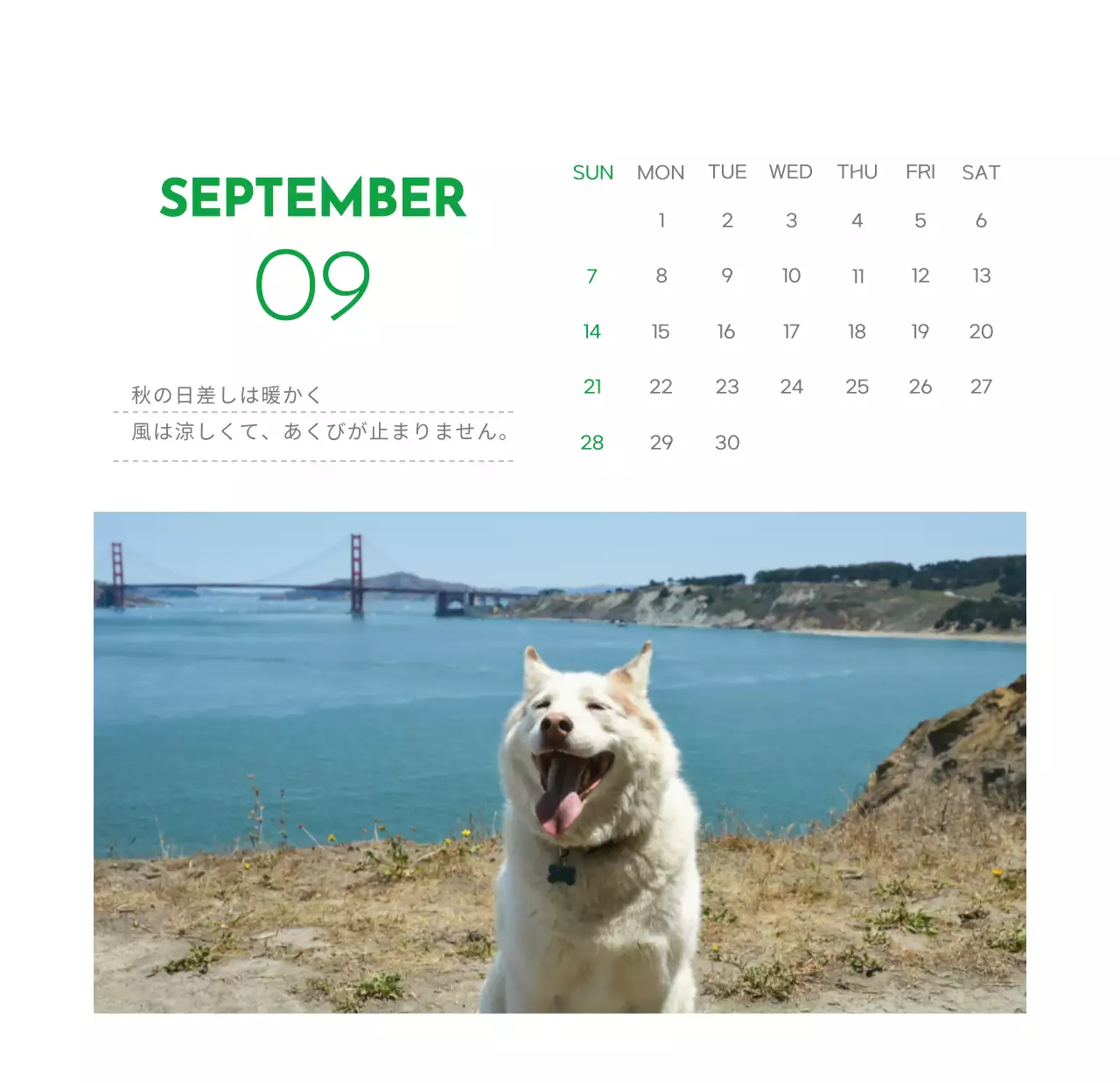 緑色のポイントカラーに子犬の写真とかわいいメッセージの入ったカレンダー