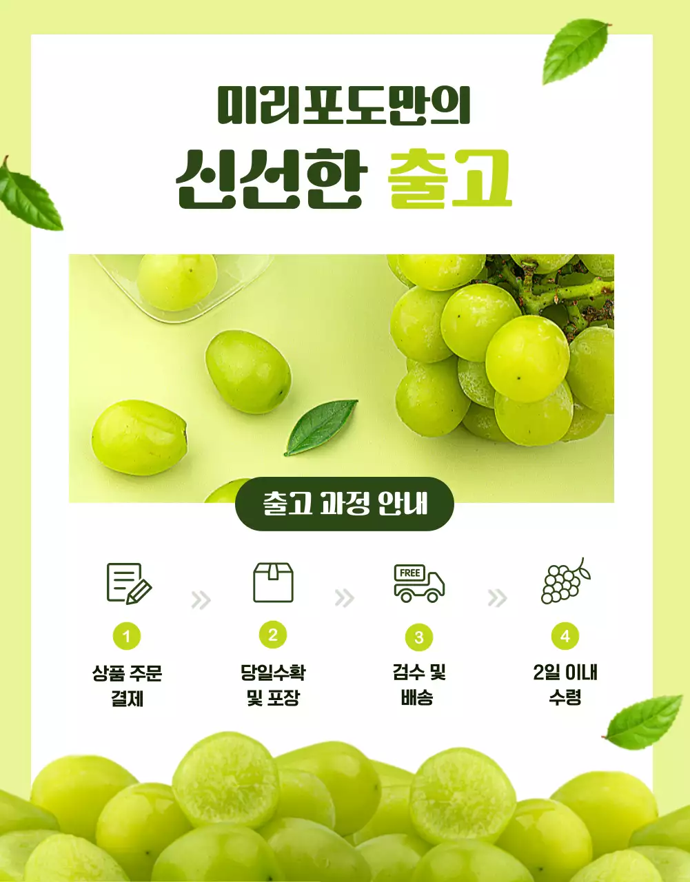 연두의 심플한 제철과일 포도 홍보