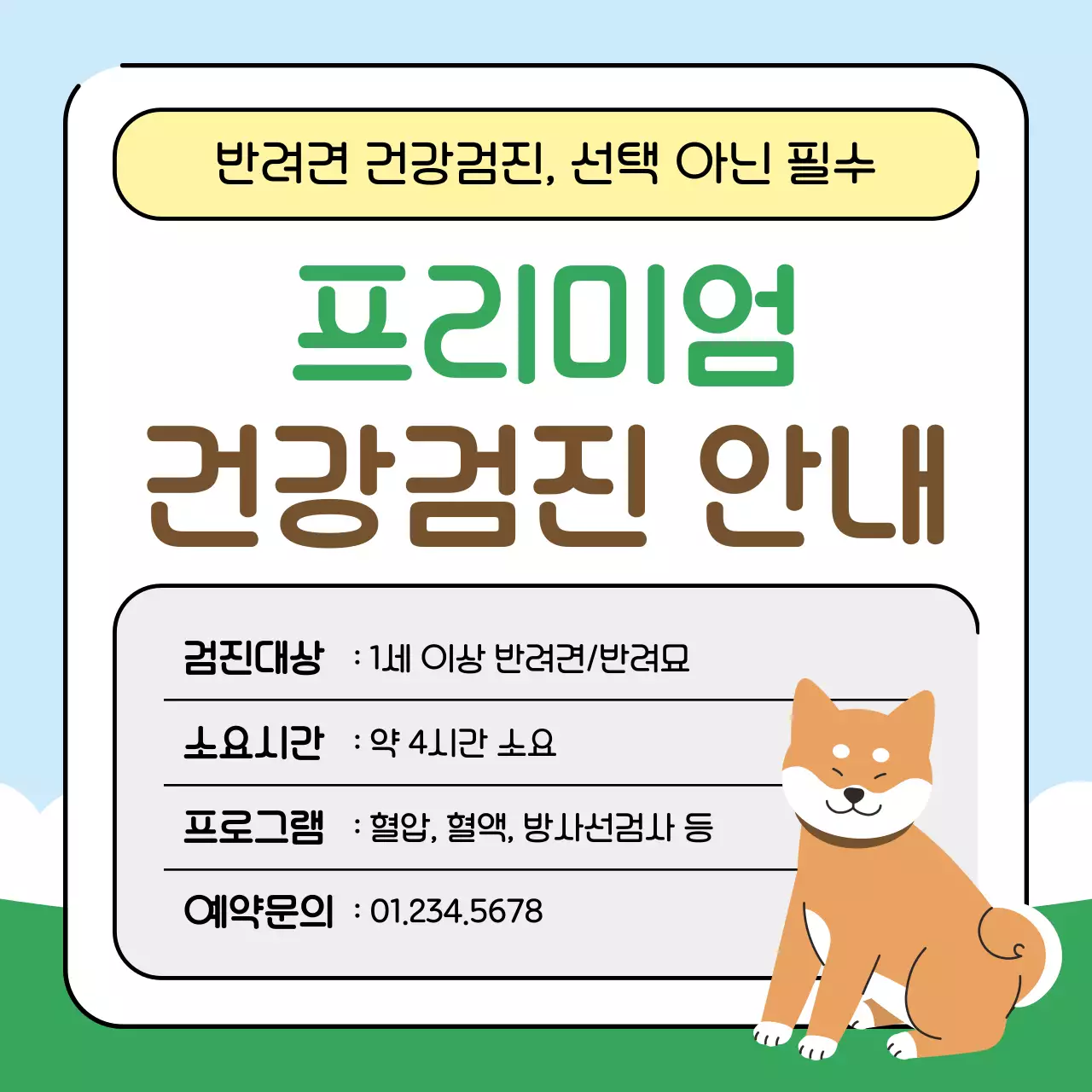 초록색과 하늘색의 아기자기한 반려동물 건강관리꿀팁 교육자료