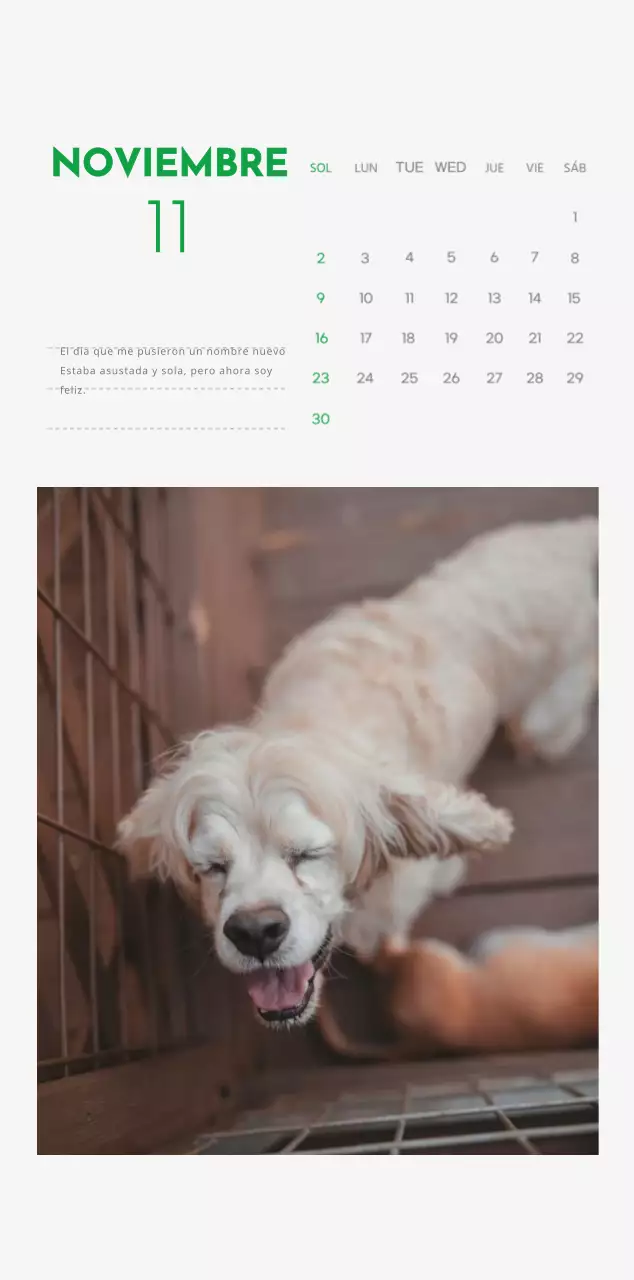 Un calendario con una foto de un cachorro y un bonito mensaje en color verde