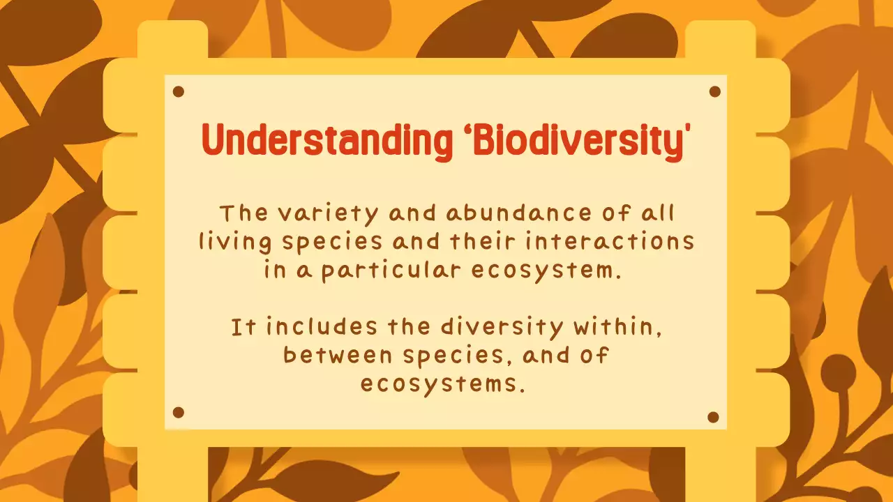 Orange Traditional Ecosystem Guide Presentation
