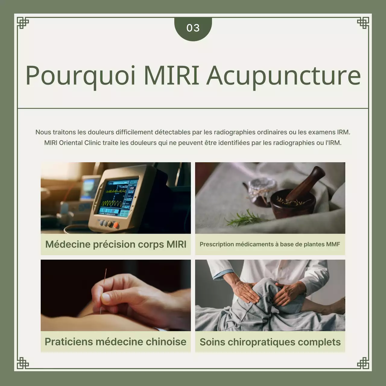 Guide de solutions à base de plantes pour les accidents de voiture kaki et vert lime