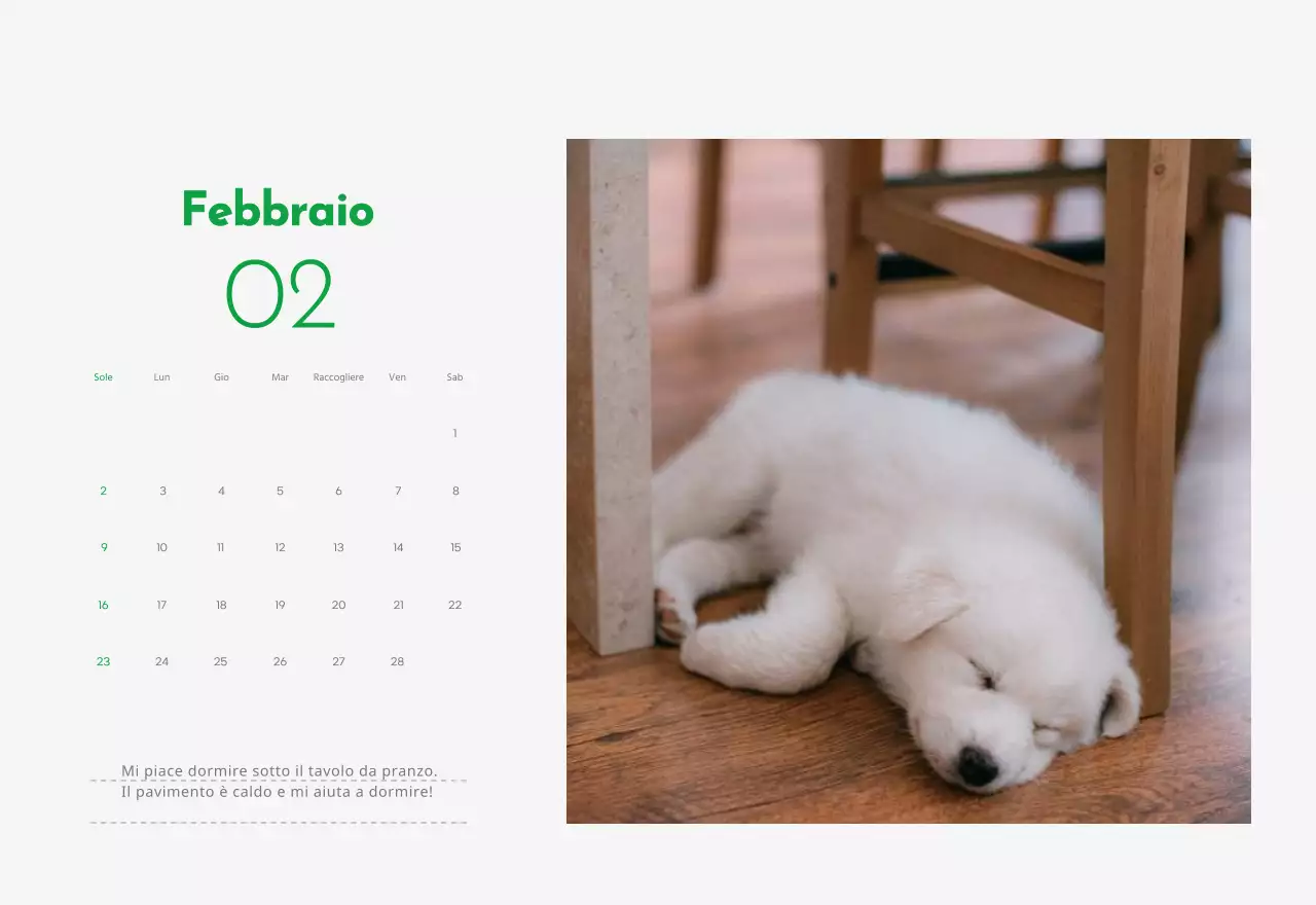 Un calendario con la foto di un cucciolo e un simpatico messaggio in colore verde.