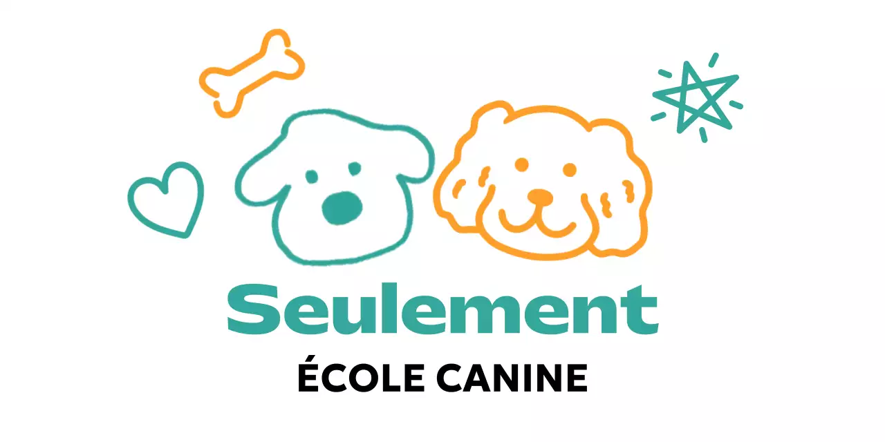 Faites la promotion de votre école de chiots