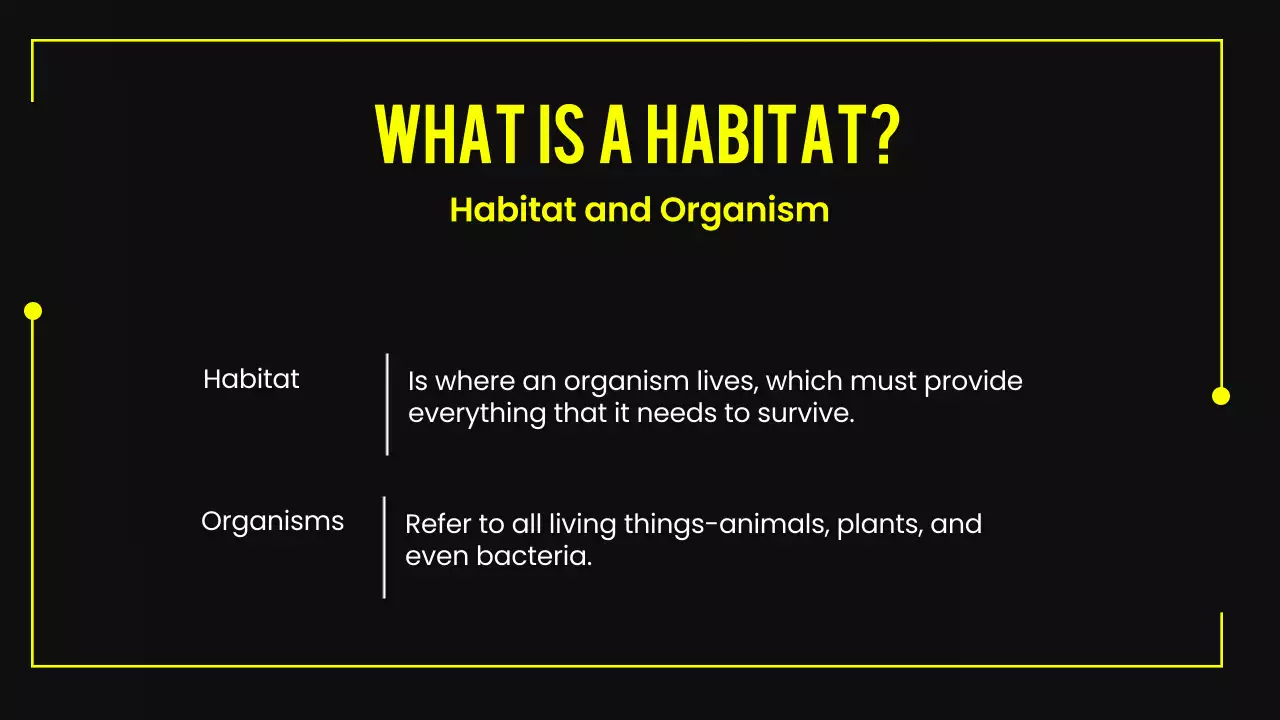 Yellow Modern Animal Lecture Presentation