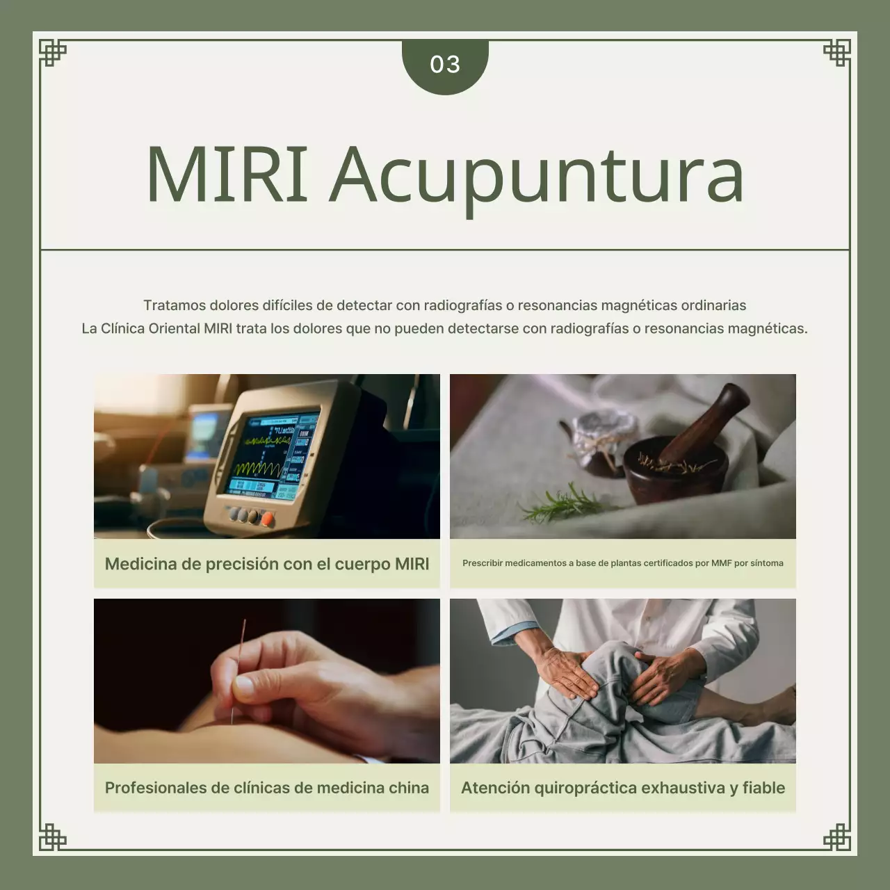 Guía de soluciones herbales para accidentes de coche minimalistas en caqui y verde lima