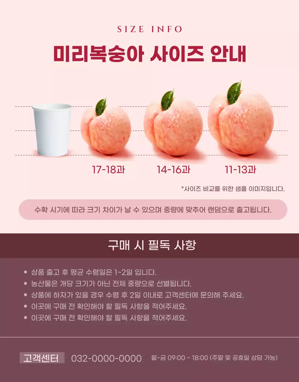 핑크색의 모던한 복숭아 홍보