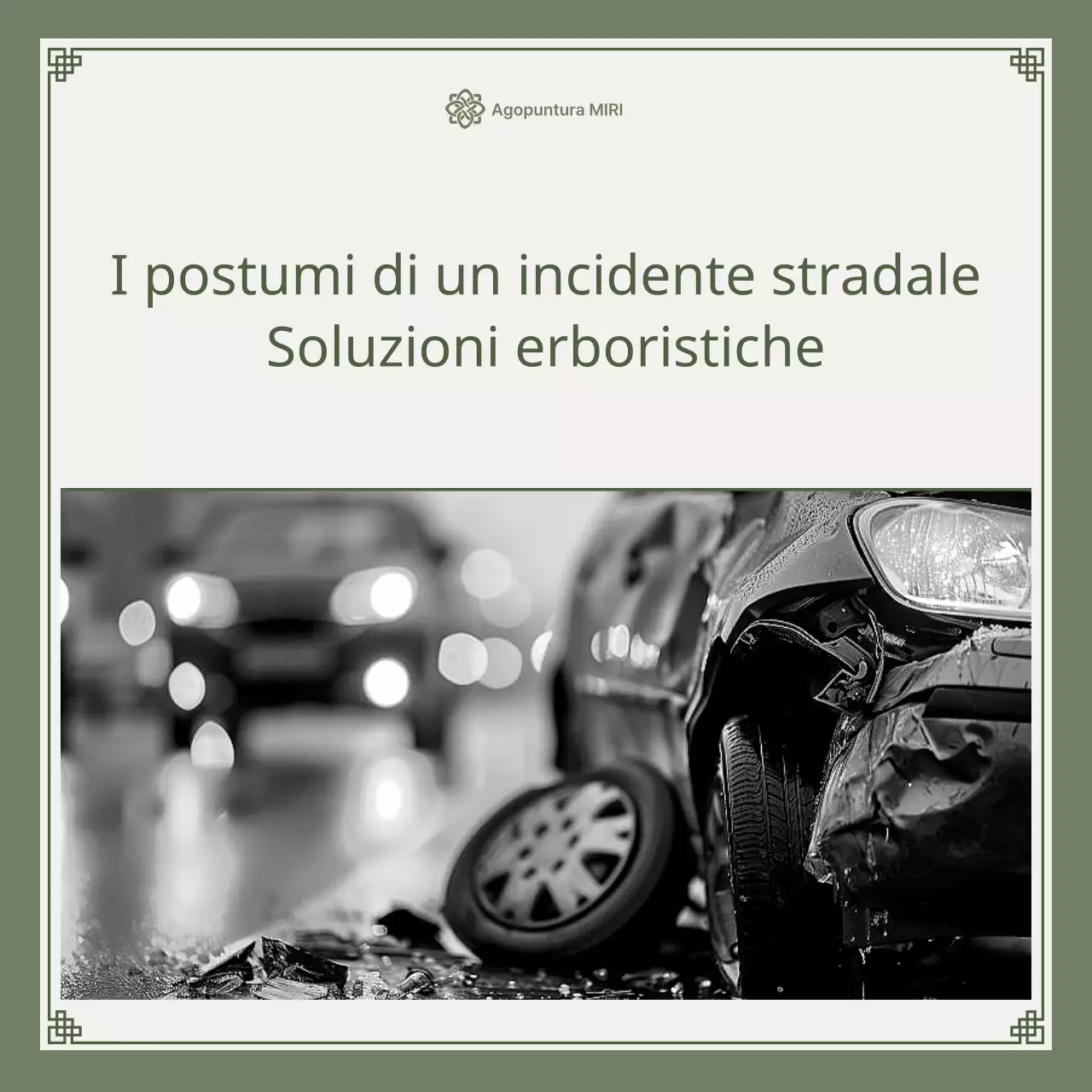 Guida minimalista alle soluzioni erboristiche per gli incidenti d'auto in verde kaki e verde lime