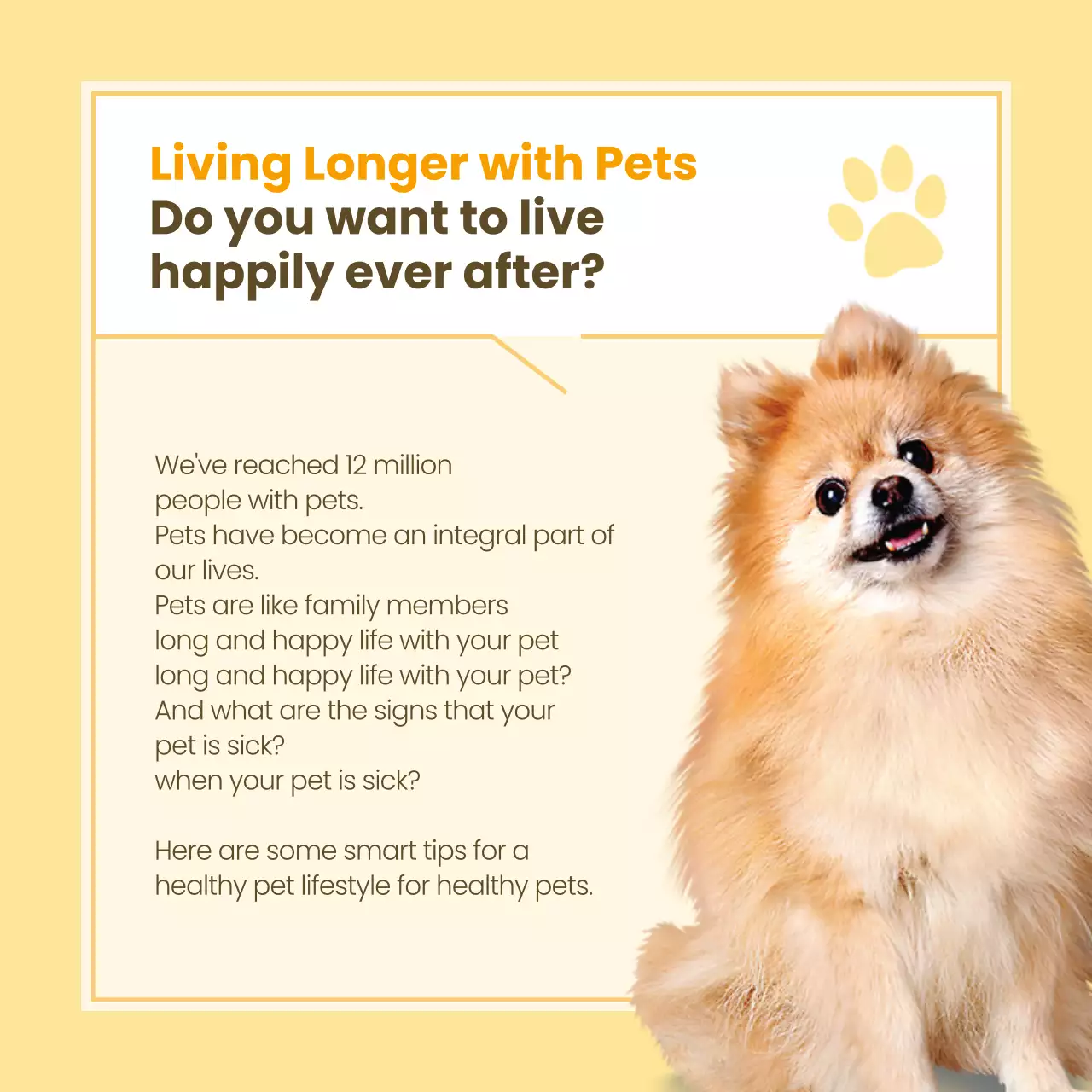 Beige Modern Pet Guide Instagram Carousel