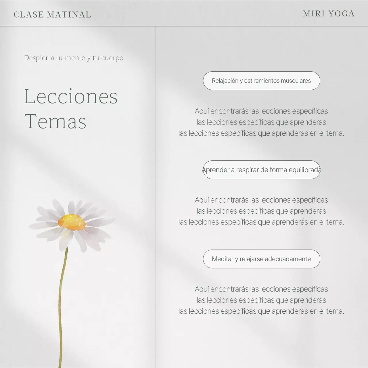 Post sobre las clases de yoga de verano de Grey's Nature