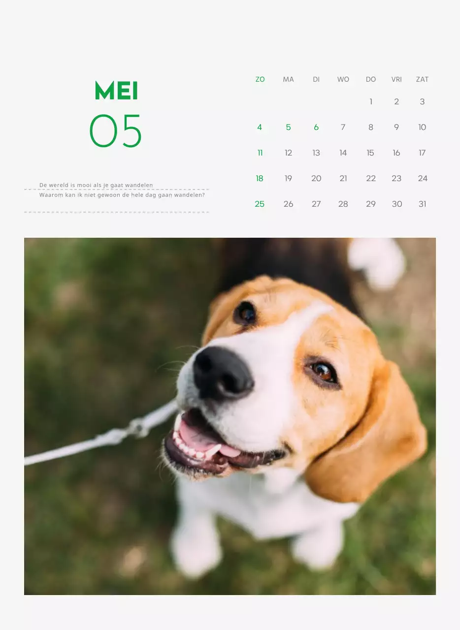Een kalender met een puppyfoto en een schattige boodschap in groene accentkleur