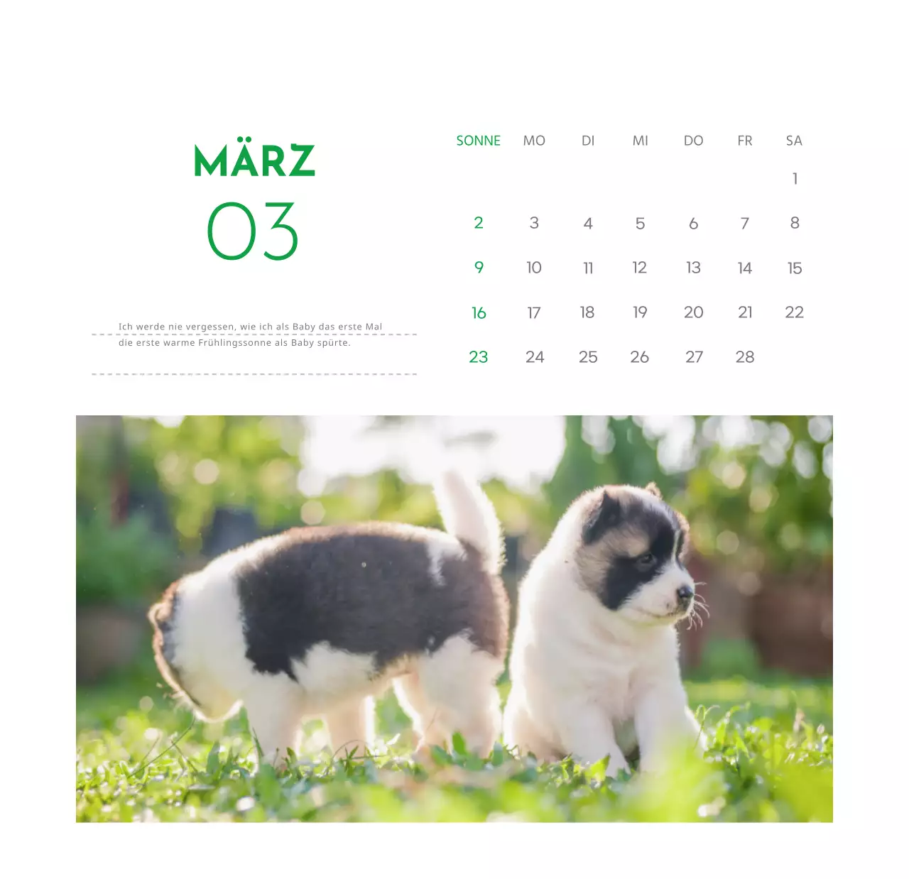 Ein Kalender mit einem Welpenfoto und einer süßen Botschaft in grüner Akzentfarbe