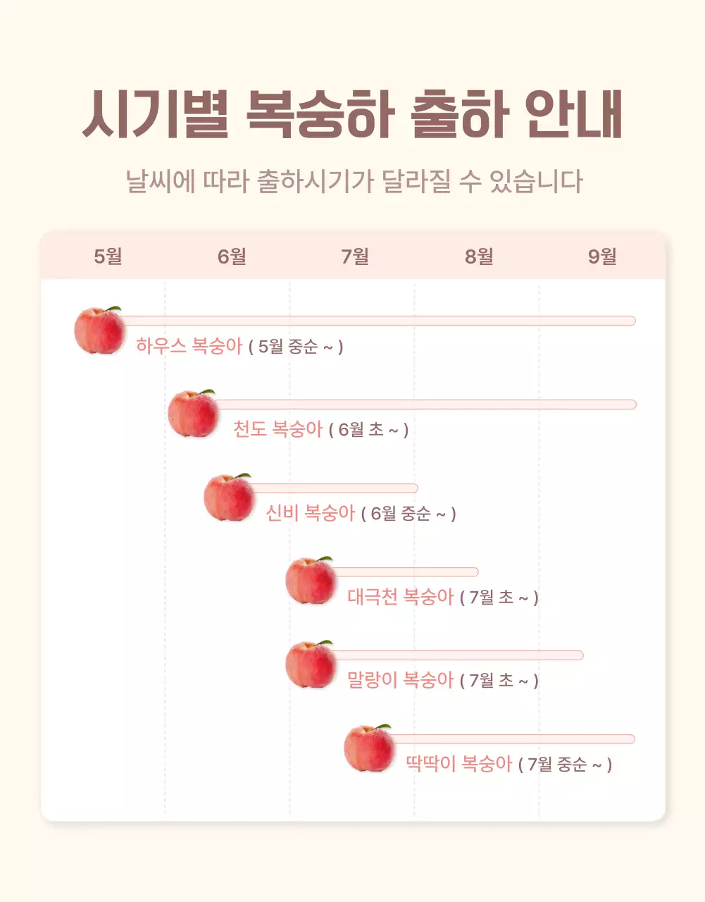 노랑과 핑크색의 깔끔한 상큼한 복숭아 체크포인트 판매 홍보