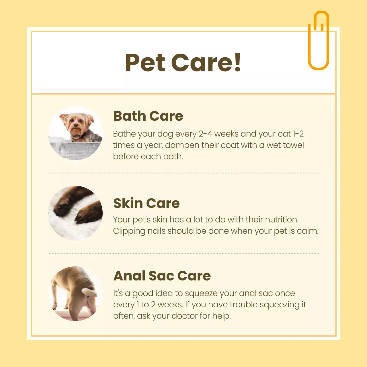 Beige Modern Pet Guide Instagram Carousel