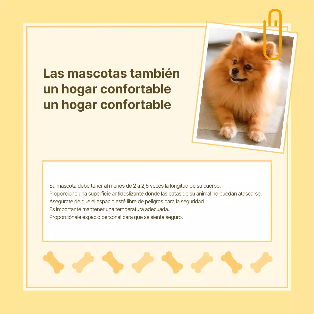 Información sanitaria para mascotas en blanco y amarillo