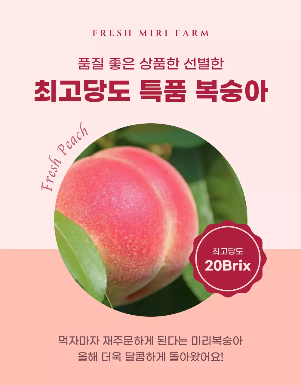 핑크색의 모던한 복숭아 홍보