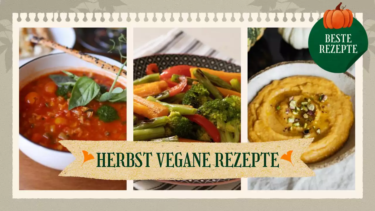 Herbstliche vegane Rezepte in Khaki- und Brauntönen