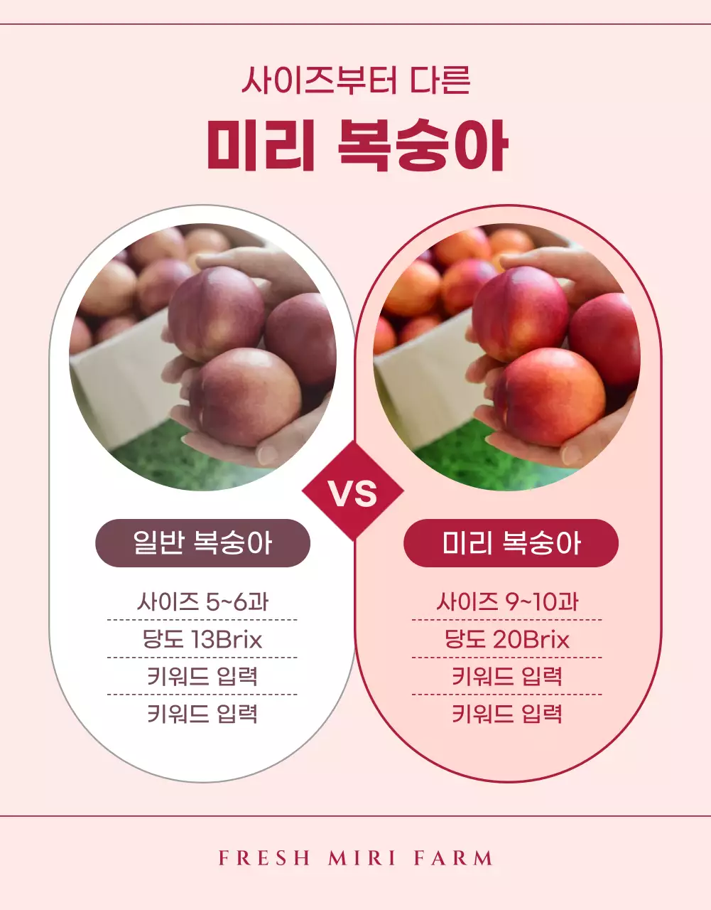 핑크색의 모던한 복숭아 홍보