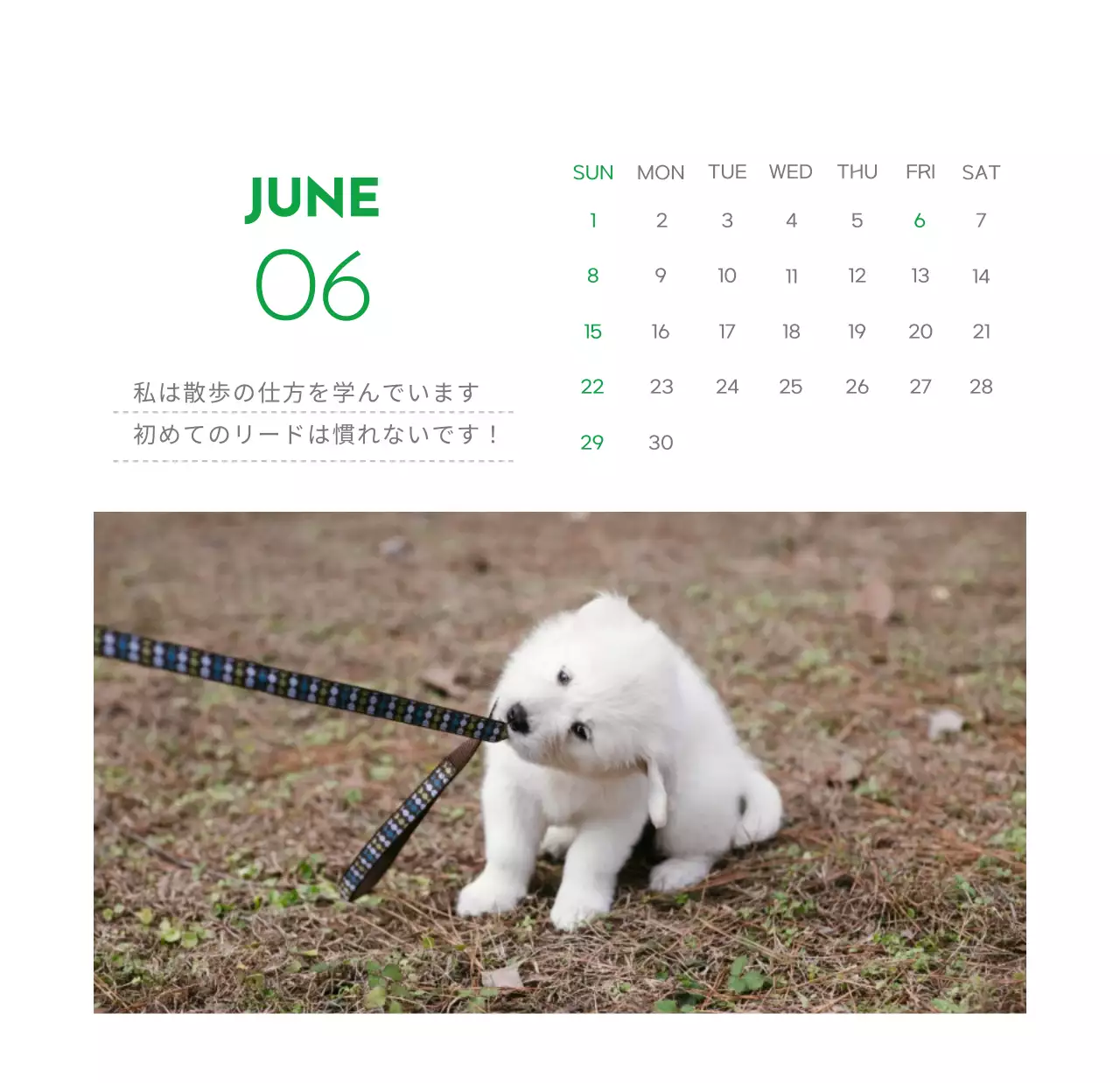 緑色のポイントカラーに子犬の写真とかわいいメッセージの入ったカレンダー