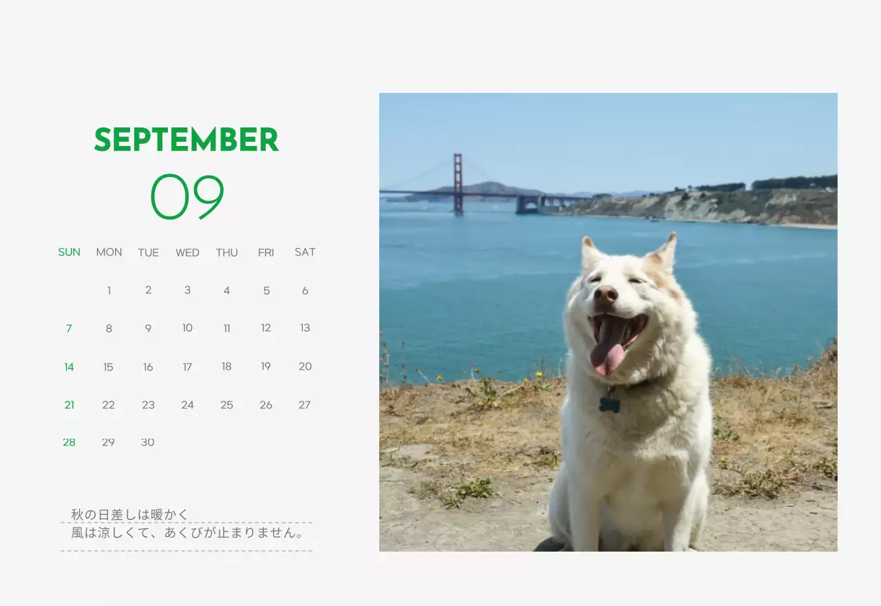 緑色のポイントカラーに子犬の写真とかわいいメッセージの入ったカレンダー