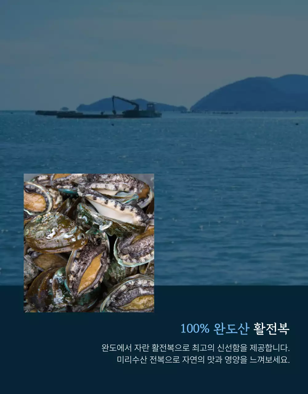 파랑과 남색의 전통적인 수산물 전복 사진 레이아웃 홍보