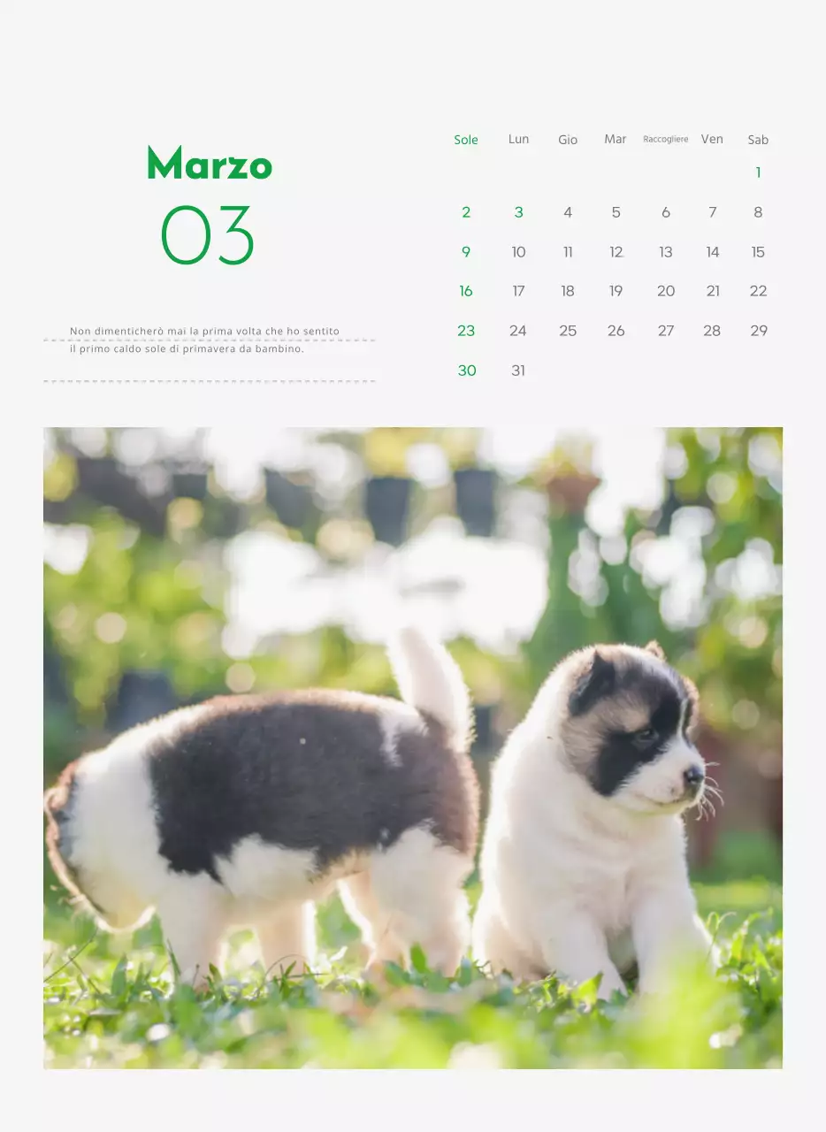 Un calendario con la foto di un cucciolo e un simpatico messaggio in colore verde.