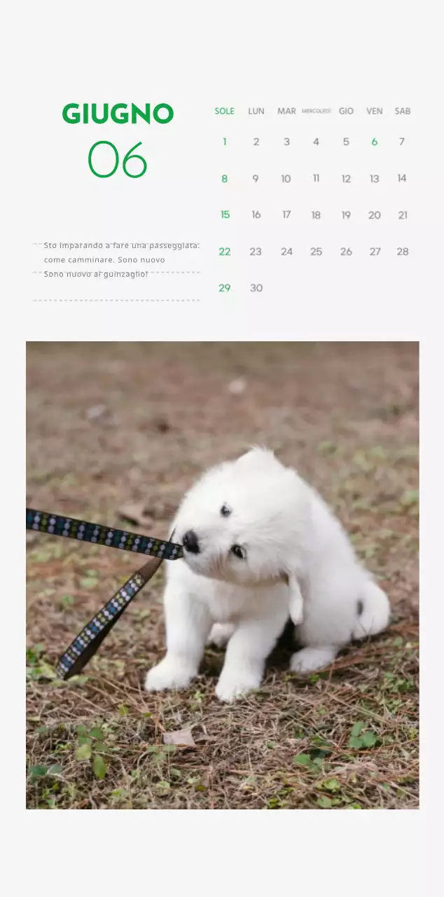 Un calendario con la foto di un cucciolo e un simpatico messaggio in colore verde.